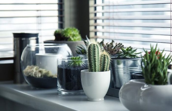 decorar las ventanas con macetas