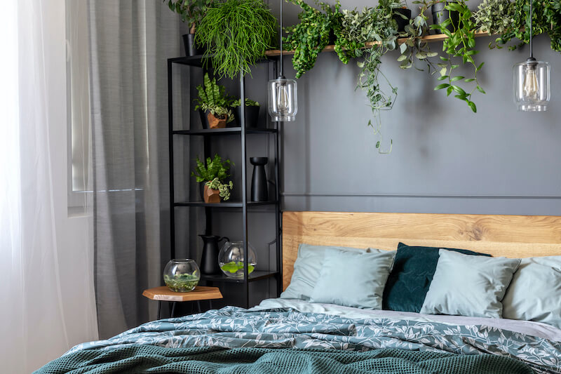 plantas para refrescar el dormitorio