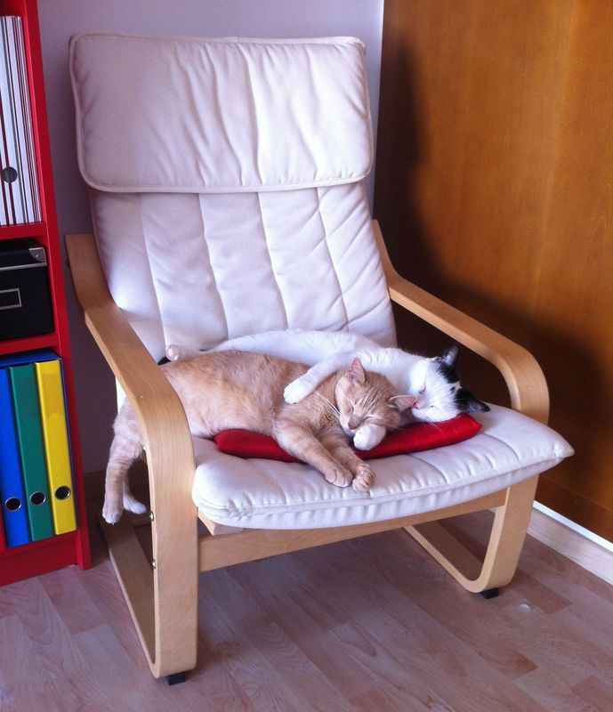 vader-willy-sillon