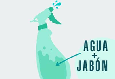 rociador con agua y un poco de jabón