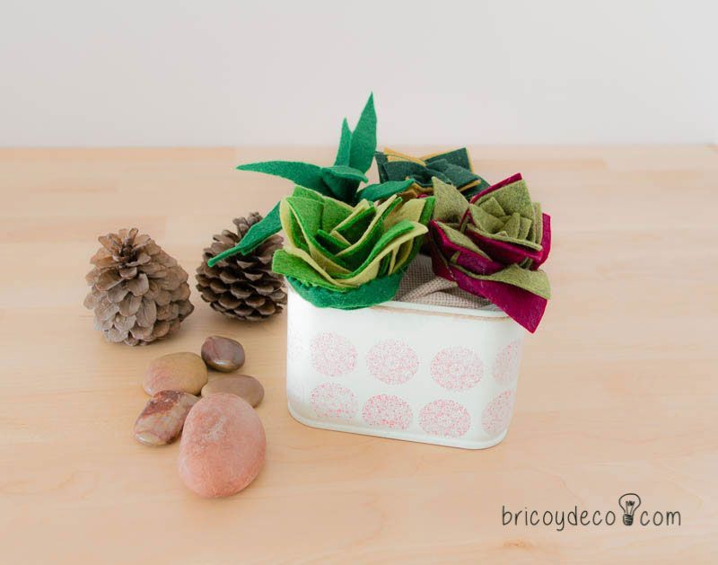 plantas suculentas de fieltro