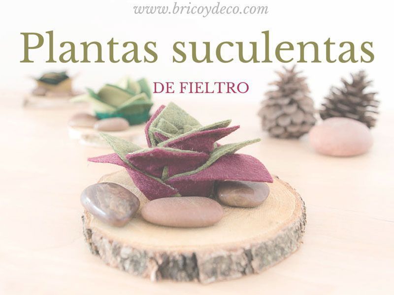 cómo hacer plantas suculentas de fieltro