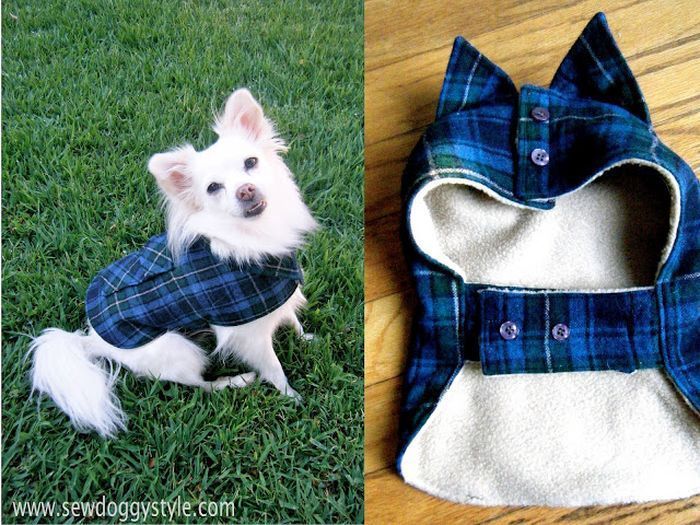 reciclar una camisa en un traje para tu mascota