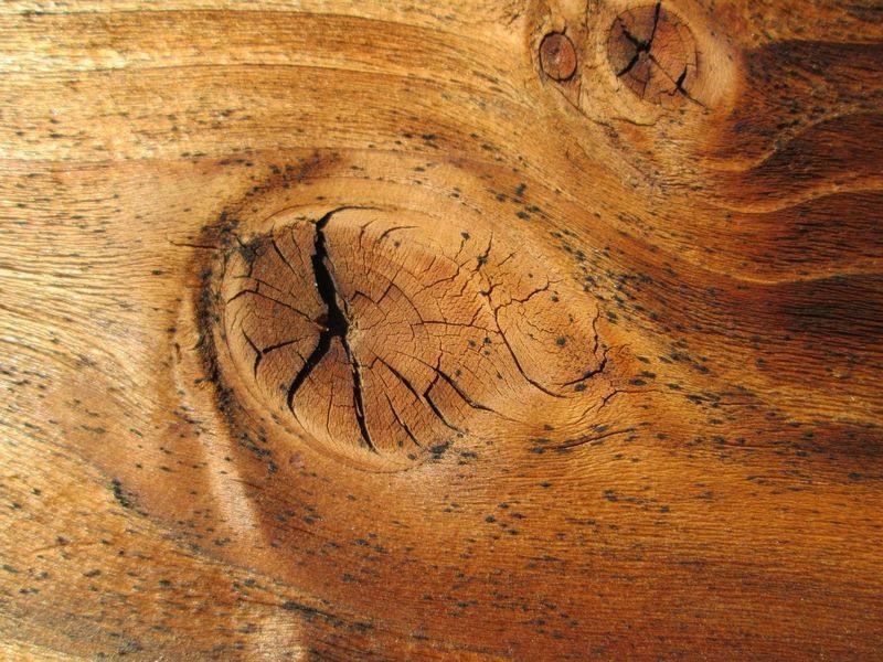 cómo preparar la madera con nudos y hongos