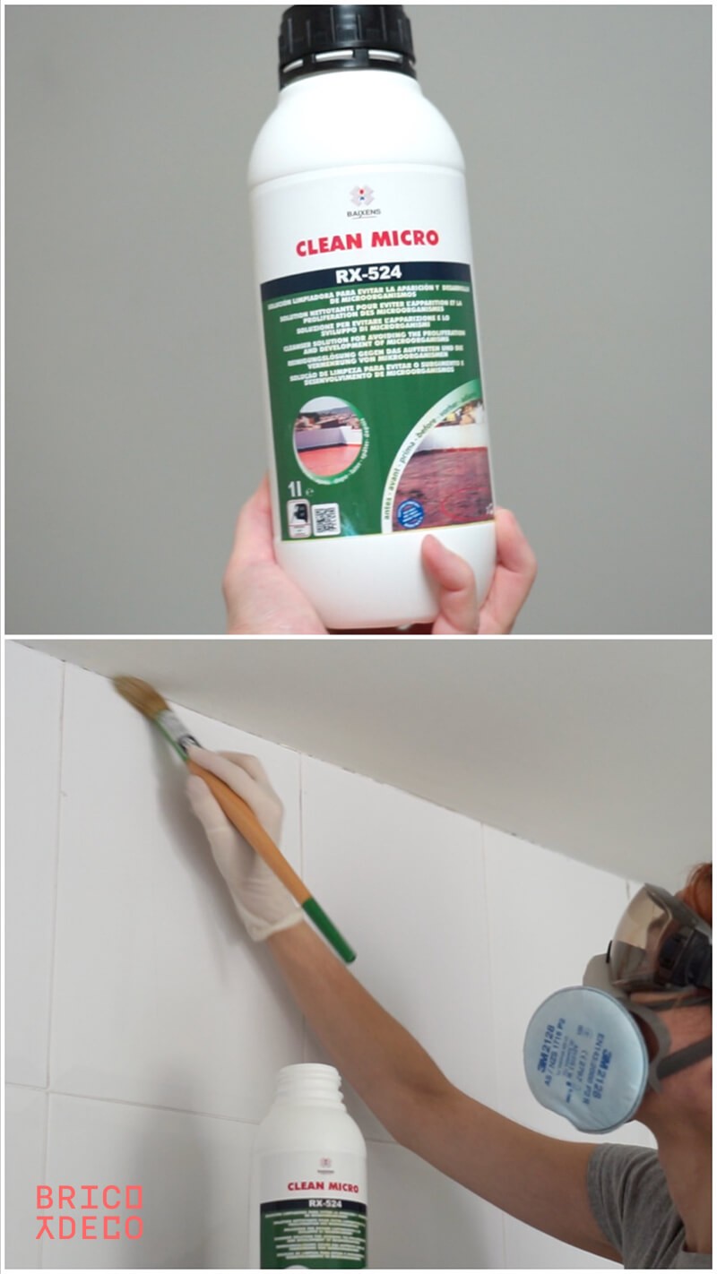 como evitar que el moho vuelva a aparecer