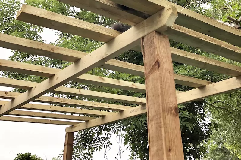 qué madera utilizar para construir una pérgola