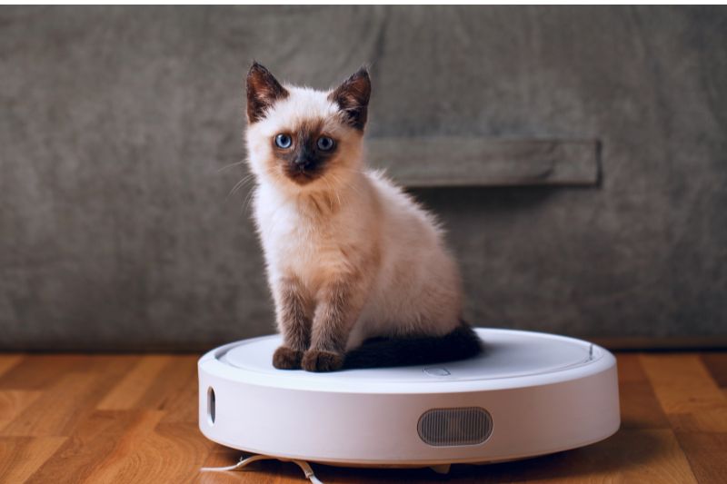 robot aspirador para mascotas