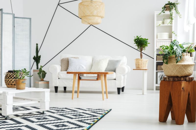 refrescar con plantas