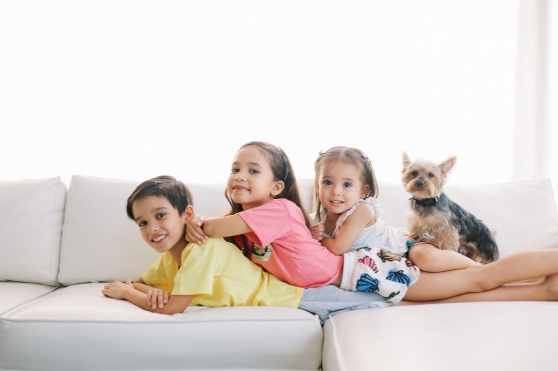 tapicerías de sofá resistentes a niños y mascotas