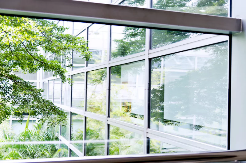 diseño biofílico para conectar con la naturaleza