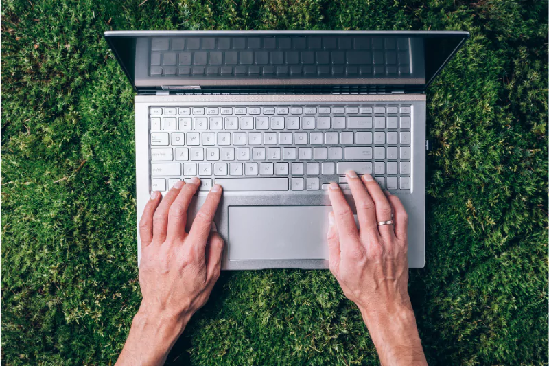 diseño biofílico en entornos de trabajo