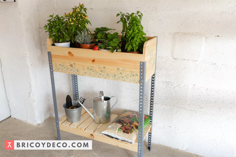mesa de cultivo con macetas transplantadas